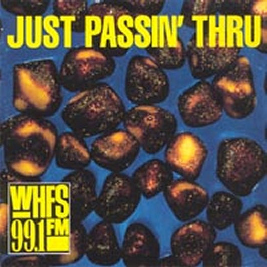 Various : Just Passin' Thru (CD)