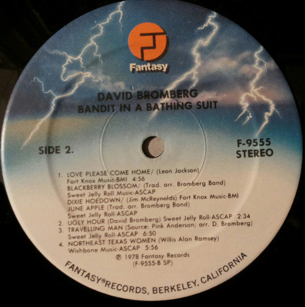 David Bromberg Band : Bandit In A Bathing Suit (LP, Album, SP )