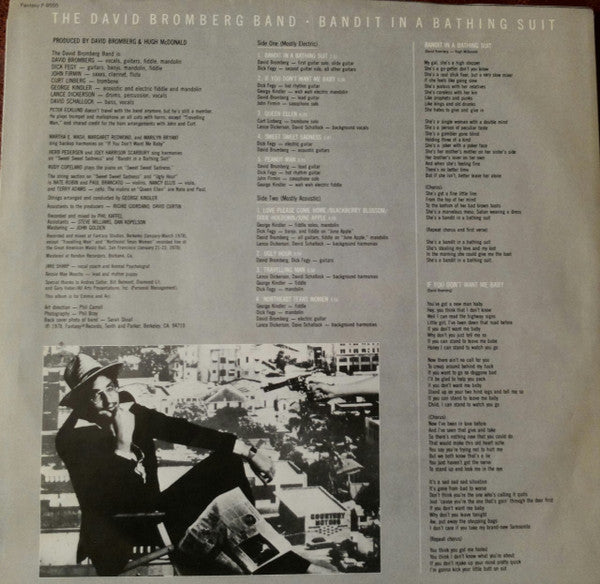 David Bromberg Band : Bandit In A Bathing Suit (LP, Album, SP )