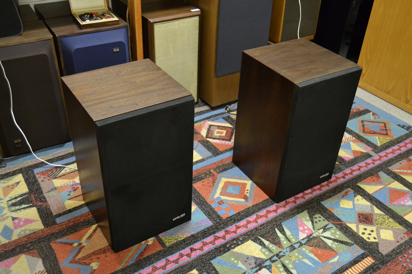 Pioneer HPM-100 Floor Standing Speakers