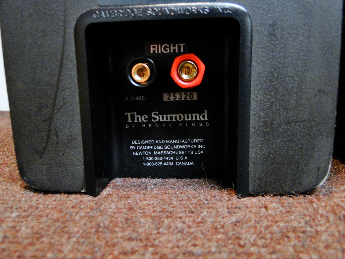 The Surround by Henry Kloss