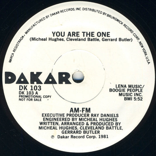 AM-FM : You Are The One (12", Promo)