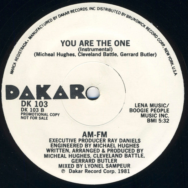 AM-FM : You Are The One (12", Promo)