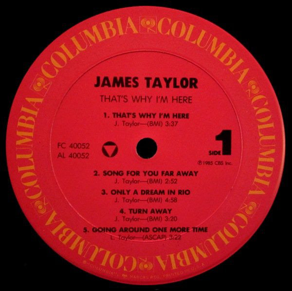 James Taylor (2) : That's Why I'm Here (LP, Album, Pit)