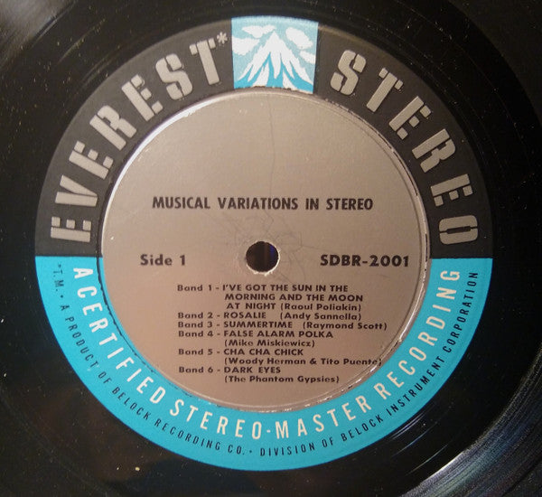 Various : Musical Variations In Stereo (LP, Album, Gat)