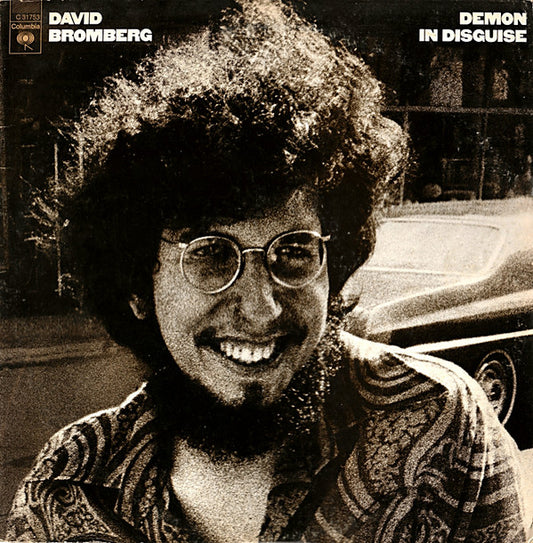 David Bromberg : Demon In Disguise (LP, Album, Pit)