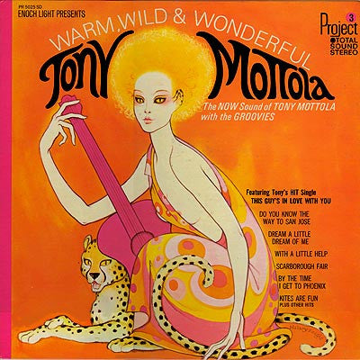 Tony Mottola With The Groovies (6) : Warm, Wild & Wonderful (LP, Album, Gat)