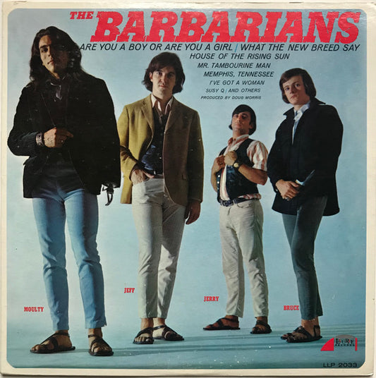 The Barbarians : The Barbarians (LP, Album, Mono)