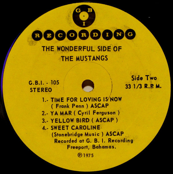 Mustangs (3) : The Wonderful Side Of The Mustangs (LP, Album)