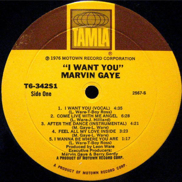 Marvin Gaye : I Want You (LP, Album)