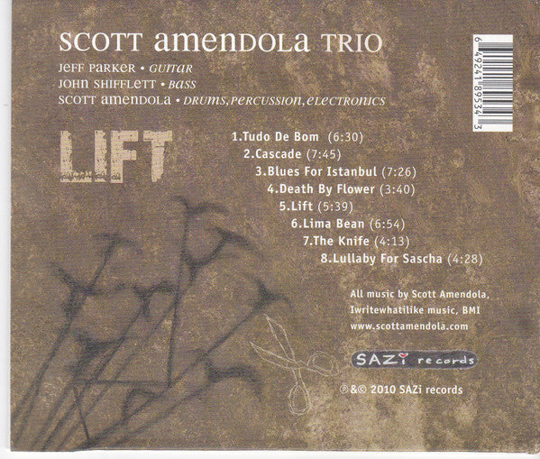 Scott Amendola Trio : Lift (CD, Album)