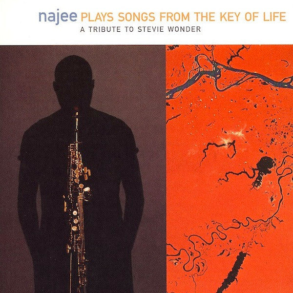 Najee : Plays The Songs From The Key Of Life (A Tribute To Stevie Wonder) (CD, Album, Club)