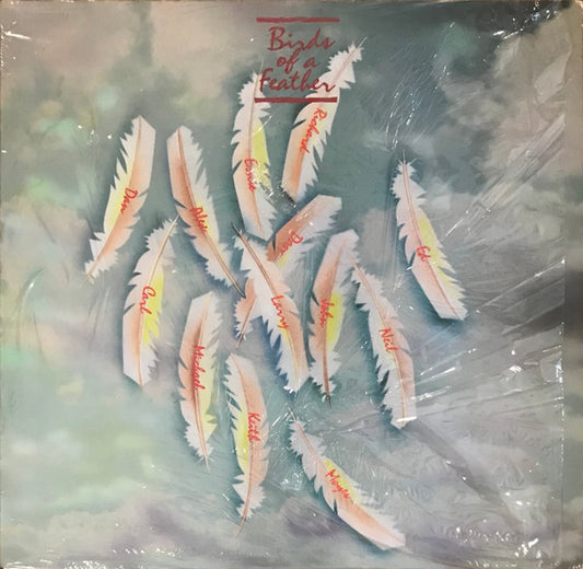 Birds Of A Feather (6) : Birds Of A Feather (LP, Album)