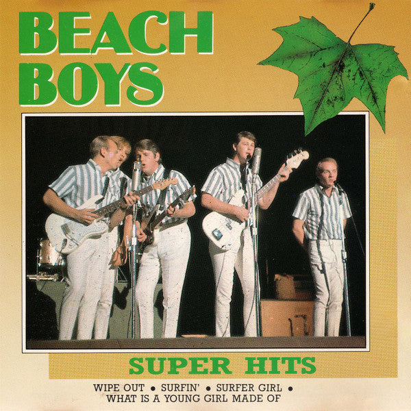 The Beach Boys : Super Hits (CD, Comp)