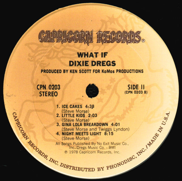 Dixie Dregs : What If (LP, Album, Ter)